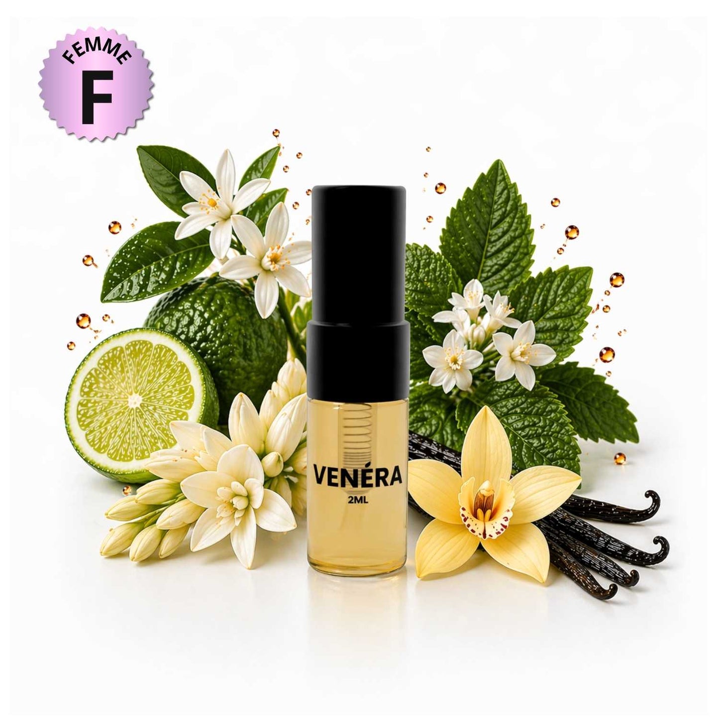 VENERA