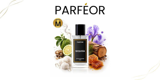 Dupe parfum Bois d'Argent Adopt : quelle alternative ?