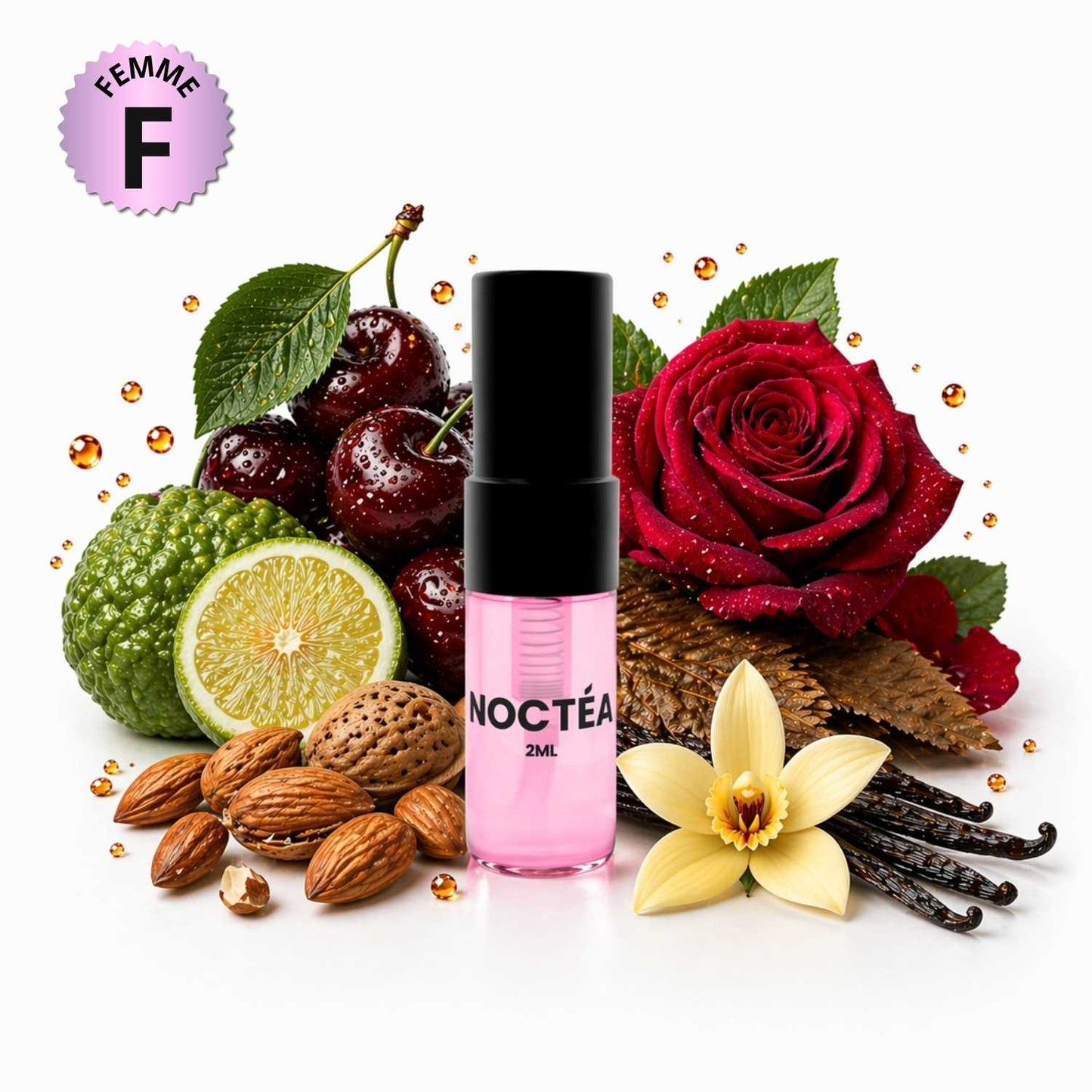 NOCTEA