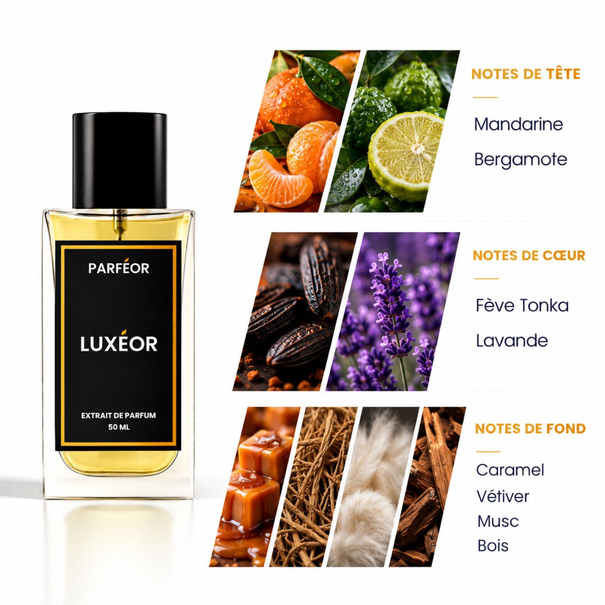 LUXEOR