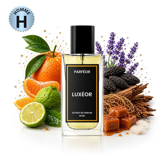 Parfum Luxeor dupe Scandal Homme