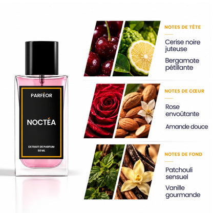 NOCTEA
